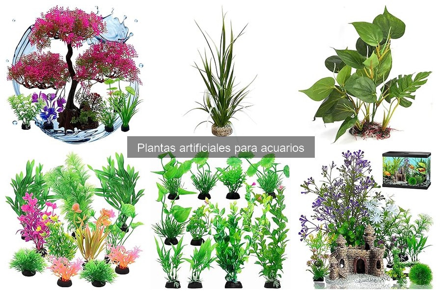 Cómo instalar plantas artificiales en tu acuario fácilmente