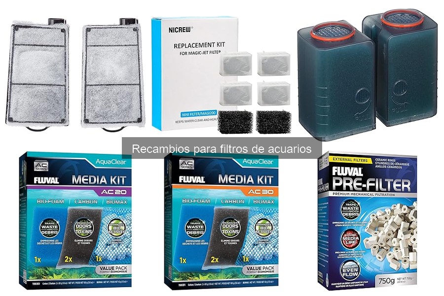 Cómo instalar recambios en filtros de acuarios correctamente