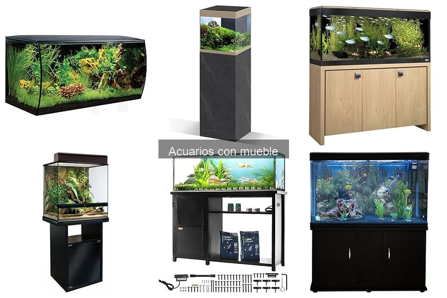 Cómo instalar un acuario con mueble: guía fácil y práctica