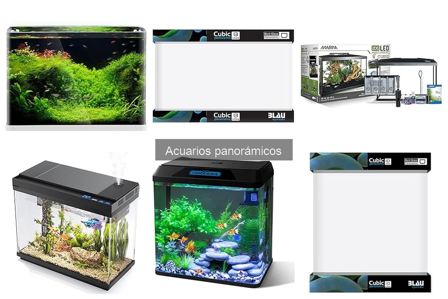 Cómo instalar un acuario panorámico: Guía paso a paso