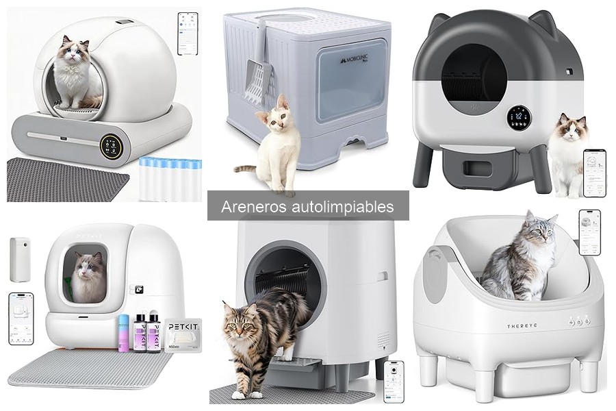 Cómo instalar un arenero autolimpiable: Guía rápida