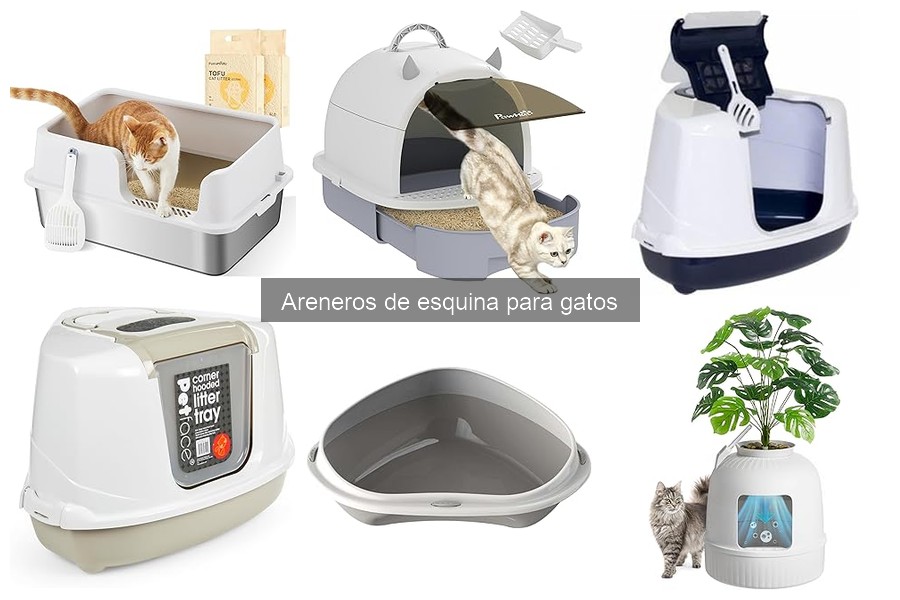 Cómo instalar un arenero de esquina para gatos fácilmente