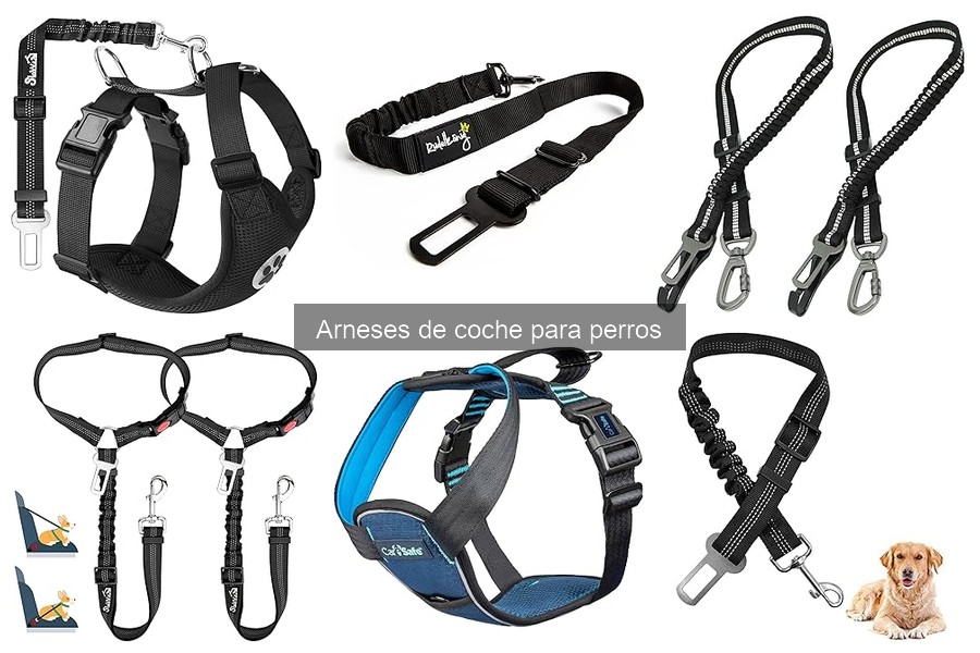 Cómo instalar un arnés de coche para perros de manera correcta