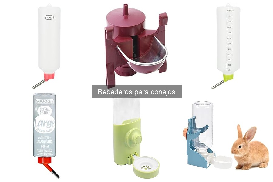 Cómo instalar un bebedero para conejos: Guía fácil y práctica