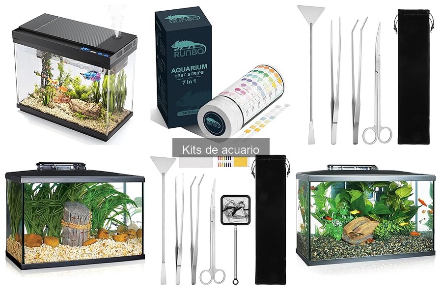 Cómo instalar un kit de acuario: guía paso a paso