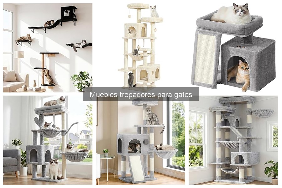Cómo instalar un mueble trepador para gatos en 5 pasos