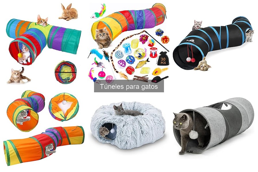 Cómo instalar un túnel para gatos: guía paso a paso