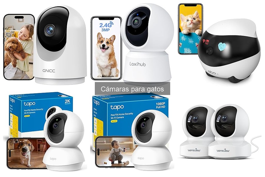 Cómo instalar una cámara para gatos: Guía paso a paso