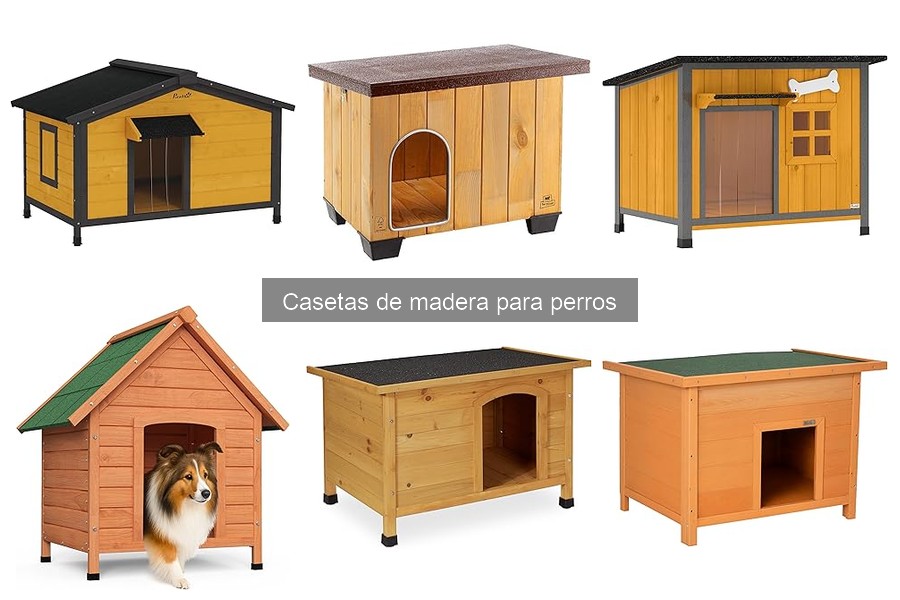Cómo instalar una caseta de madera para perros fácilmente