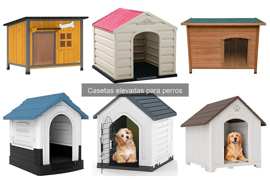 Cómo Instalar una Caseta Elevada para Perros en 5 Pasos