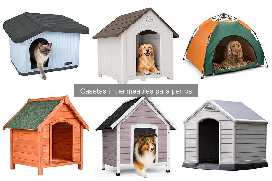 Cómo instalar una caseta impermeable para perros fácilmente