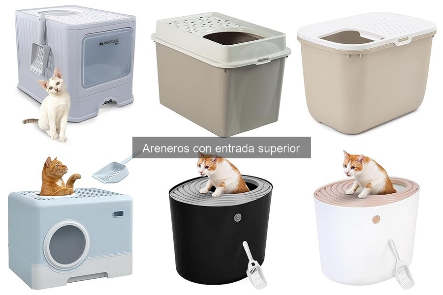 Cómo instalar y usar un arenero con entrada superior