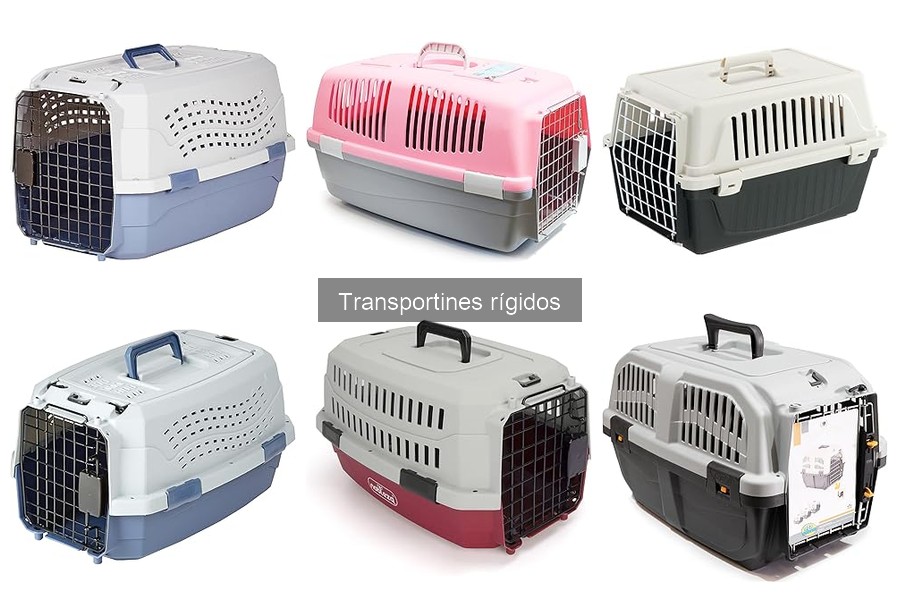Cómo instalar y usar un transportín rígido para mascotas