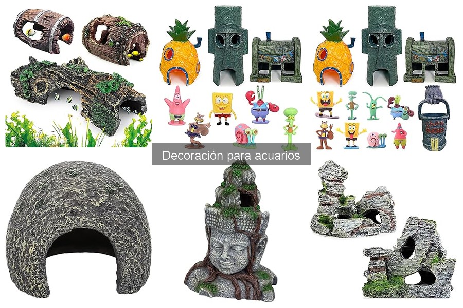 Cómo Integrar Iluminación y Decoración en Acuarios