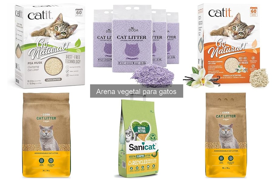 Cómo introducir a tu gato a la arena vegetal fácilmente