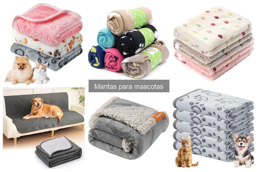 Cómo lavar y mantener mantas para mascotas: guía práctica