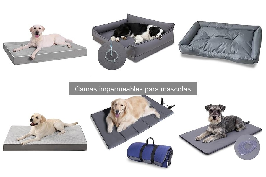 Cómo limpiar camas impermeables para mascotas fácilmente