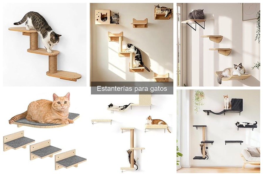 Cómo limpiar estanterías para gatos: tips y cuidados