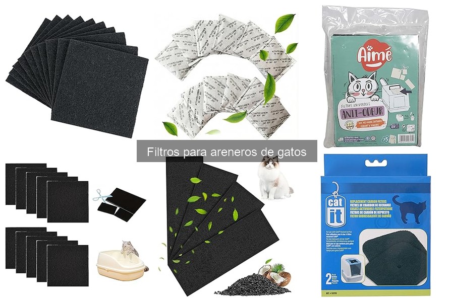 Cómo Limpiar Filtros para Areneros de Gatos Eficazmente