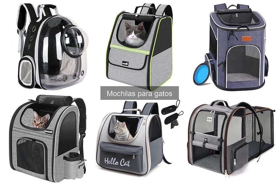Cómo limpiar tu mochila para gatos: guía completa
