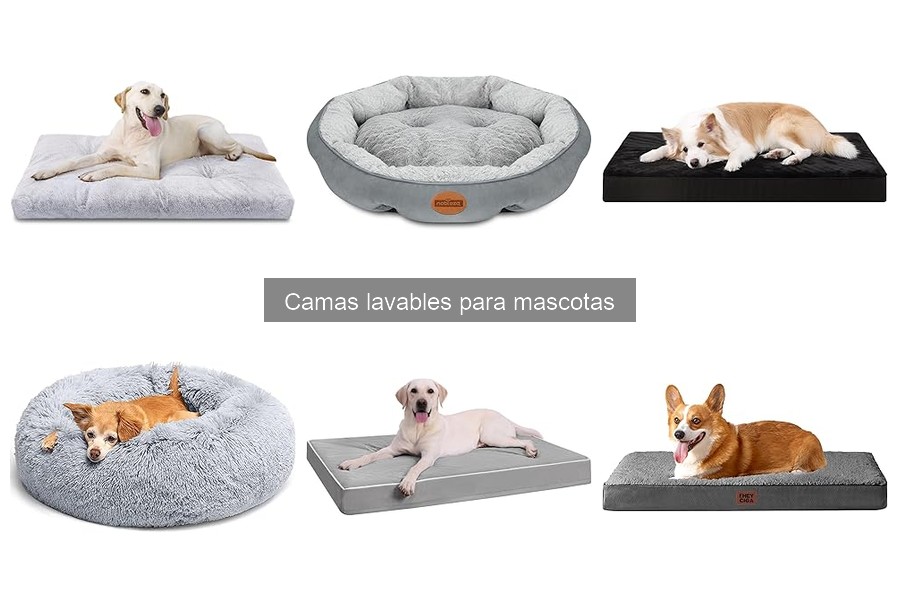 Cómo limpiar y cuidar camas lavables para mascotas