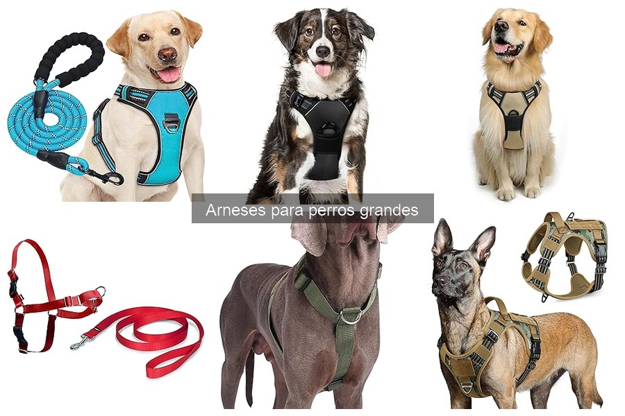 Cómo limpiar y mantener arneses para perros grandes