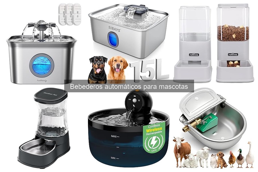 Cómo limpiar y mantener bebederos automáticos para mascotas