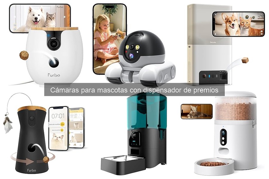 Cómo limpiar y mantener cámaras para mascotas con premios