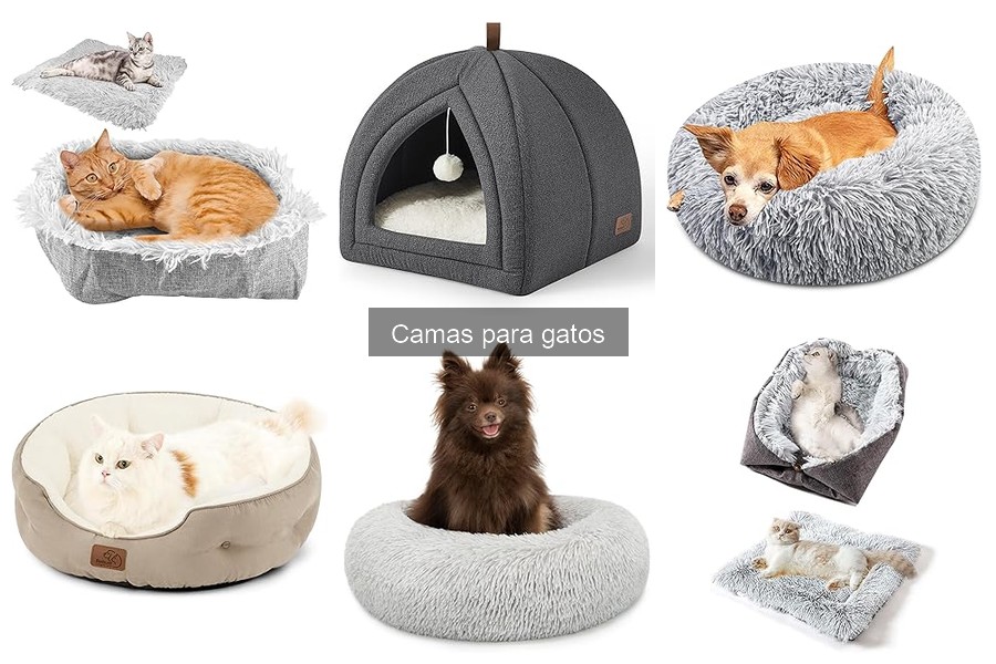 Cómo limpiar y mantener camas para gatos fácilmente