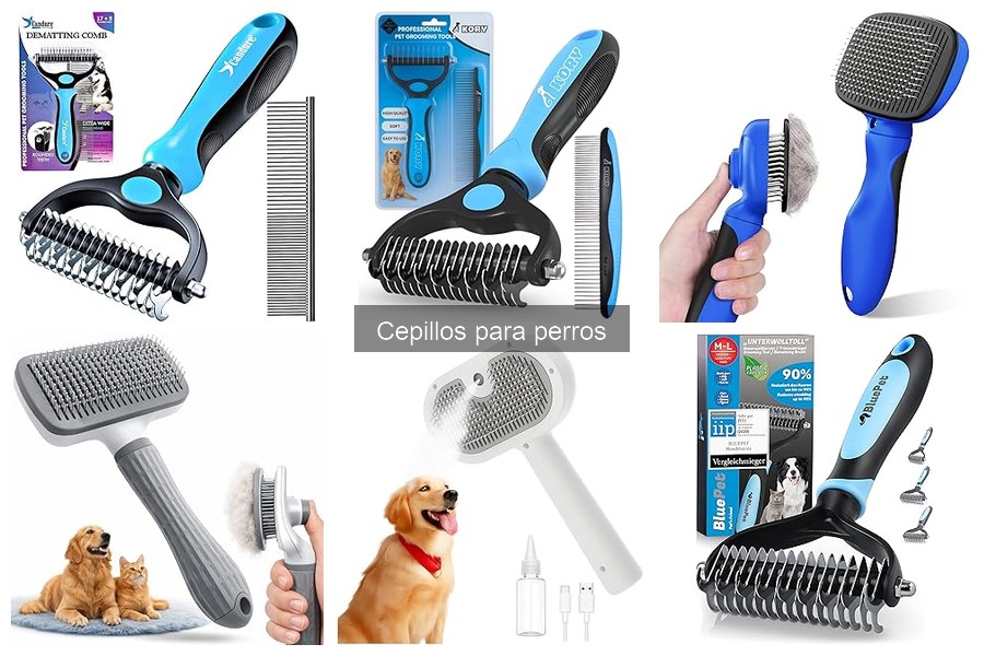 Cómo Limpiar y Mantener Cepillos para Perros Eficazmente