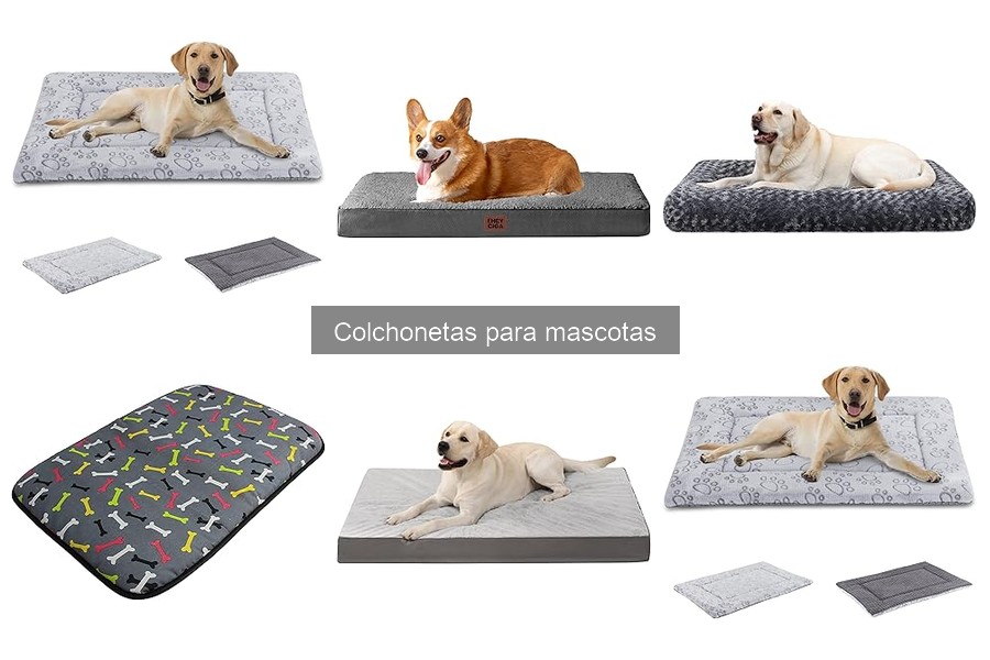 Cómo limpiar y mantener colchonetas para mascotas fácilmente