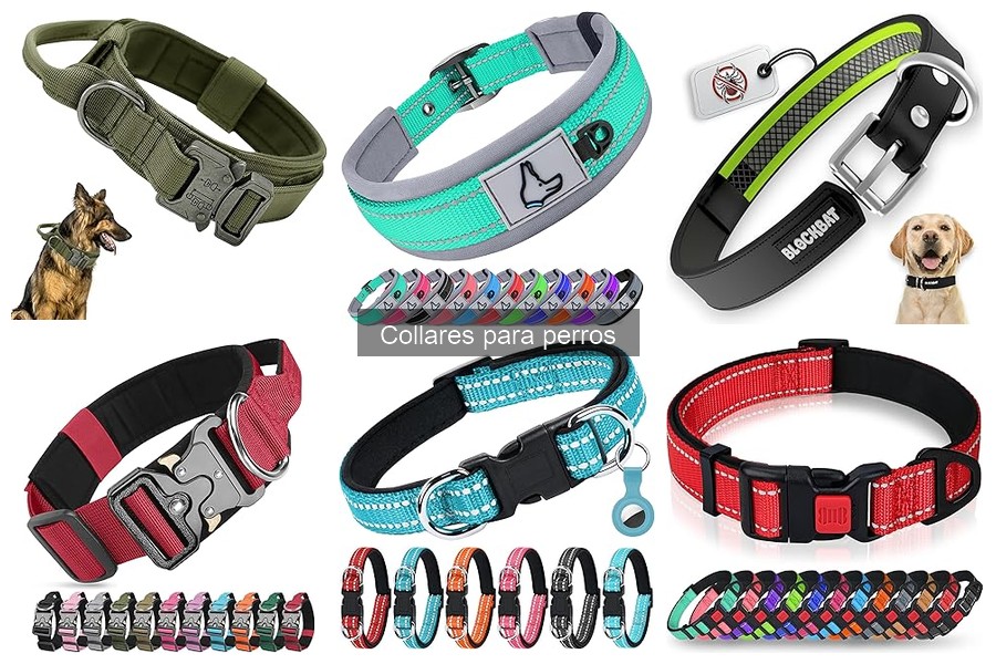 Cómo limpiar y mantener collares para perros en óptimas condiciones
