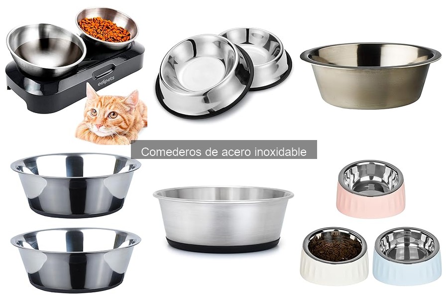 Cómo Limpiar y Mantener Comederos de Acero Inoxidable