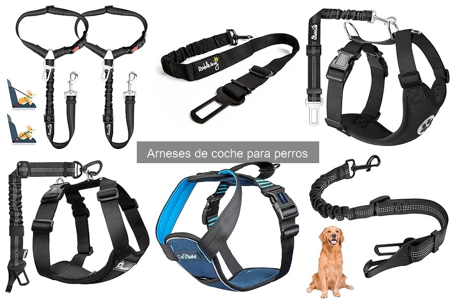 Cómo limpiar y mantener el arnés de coche para perros