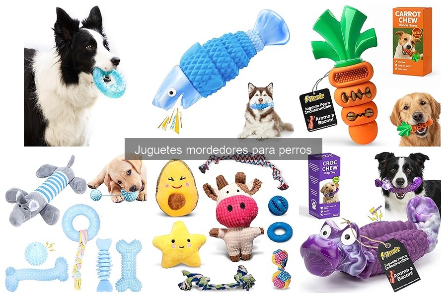 Cómo limpiar y mantener los juguetes mordedores para perros