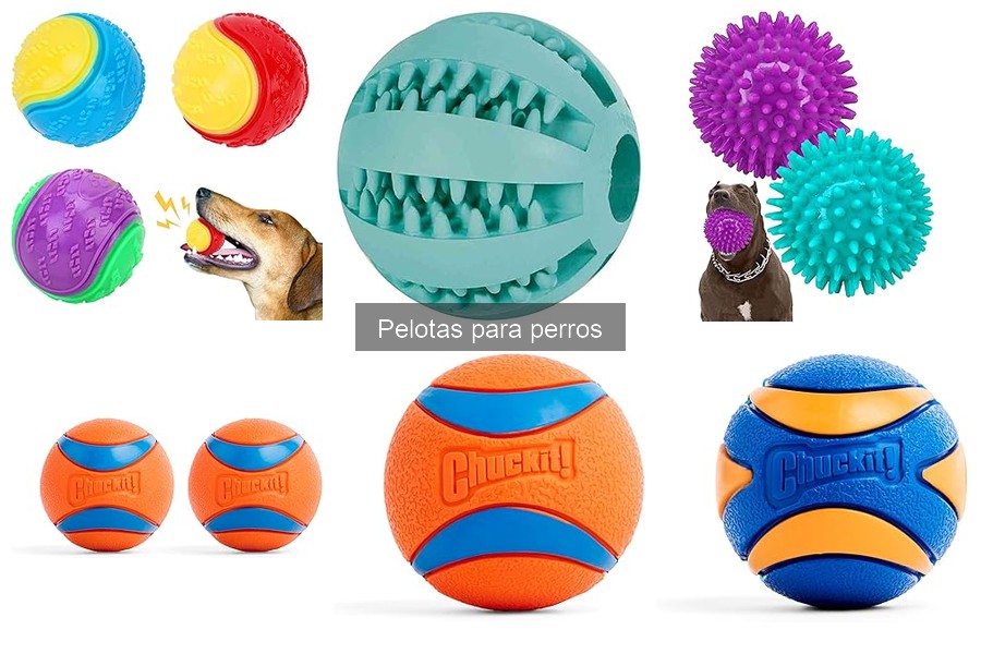 Cómo limpiar y mantener pelotas para perros en perfecto estado