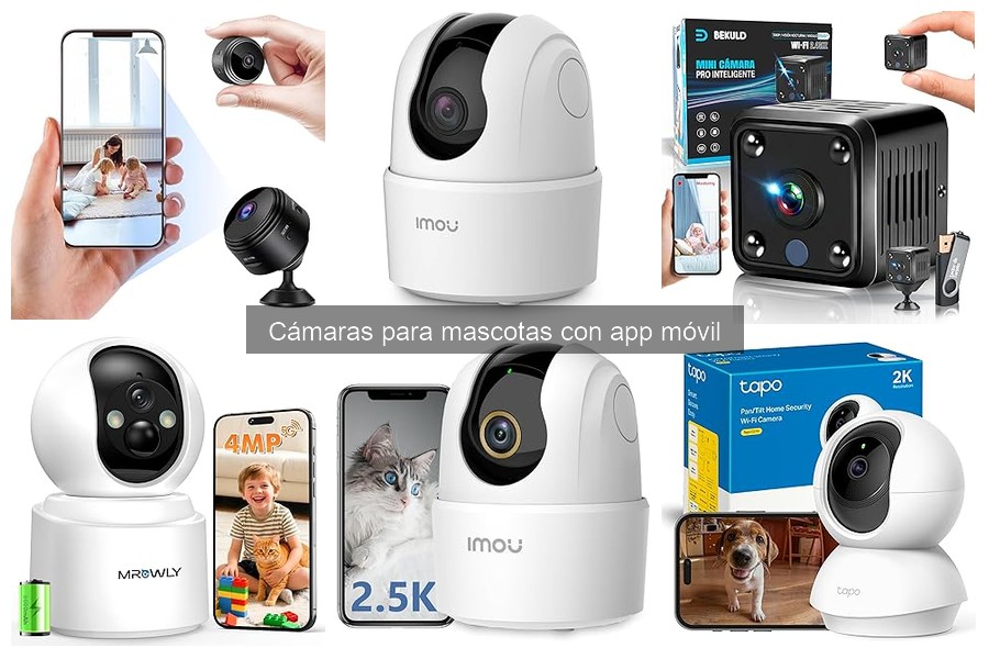 Cómo limpiar y mantener tu cámara para mascotas con app móvil