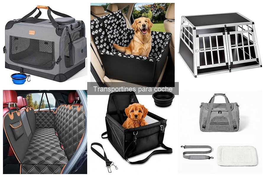 Cómo lograr que tu mascota esté cómoda en el transportín