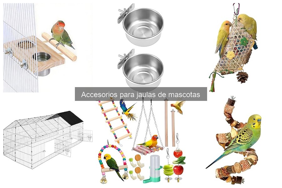 Cómo los Accesorios Mejoran el Comportamiento de Tu Mascota