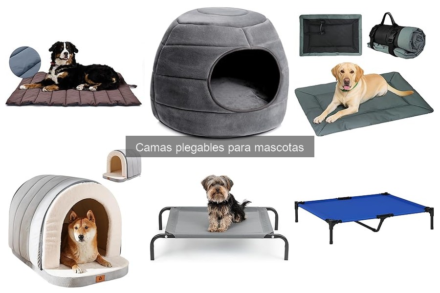 Cómo mantener camas plegables para mascotas en perfecto estado