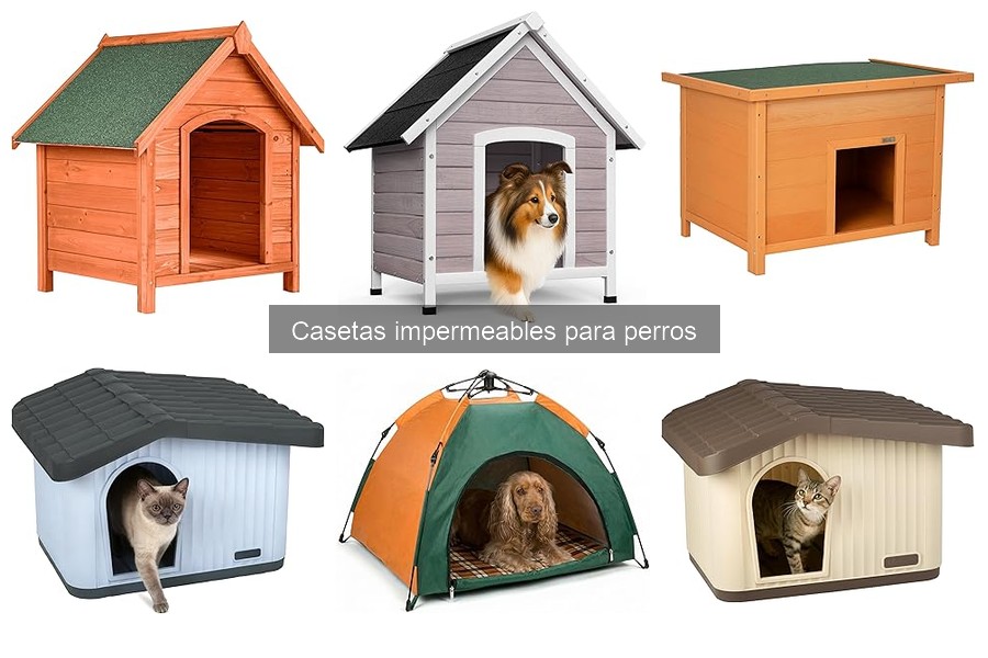 Cómo mantener casetas impermeables para perros en excelente estado