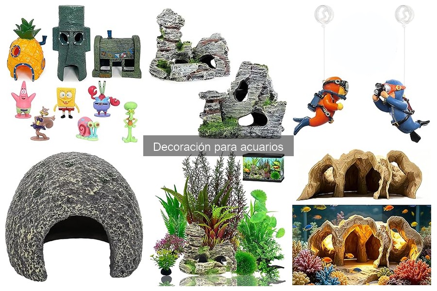 Cómo mantener la decoración de acuarios en óptimas condiciones