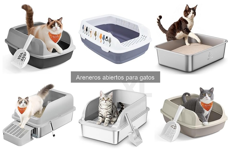 Cómo mantener limpio un arenero abierto para gatos