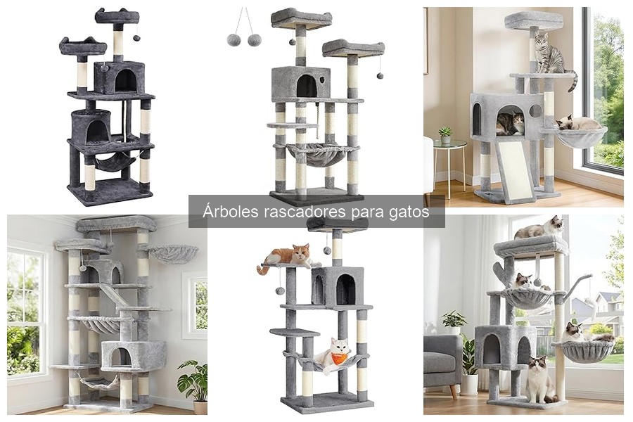 Cómo mantener tu árbol rascador para gatos en perfecto estado