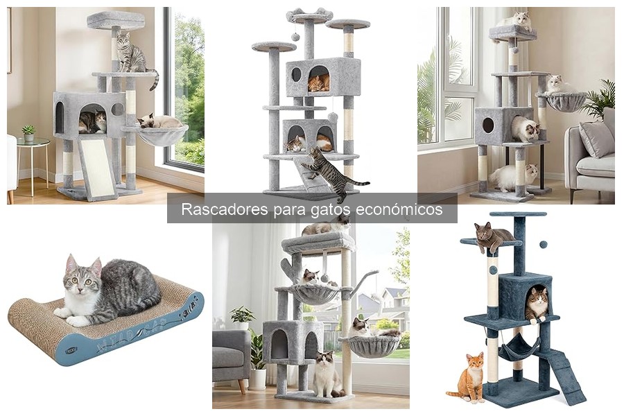 Cómo mantener un rascador económico para gatos fácilmente