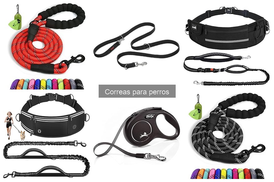 Cómo mantener y cuidar las correas para perros efectivamente
