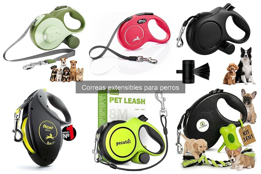 Cómo mantener y cuidar una correa extensible para perros