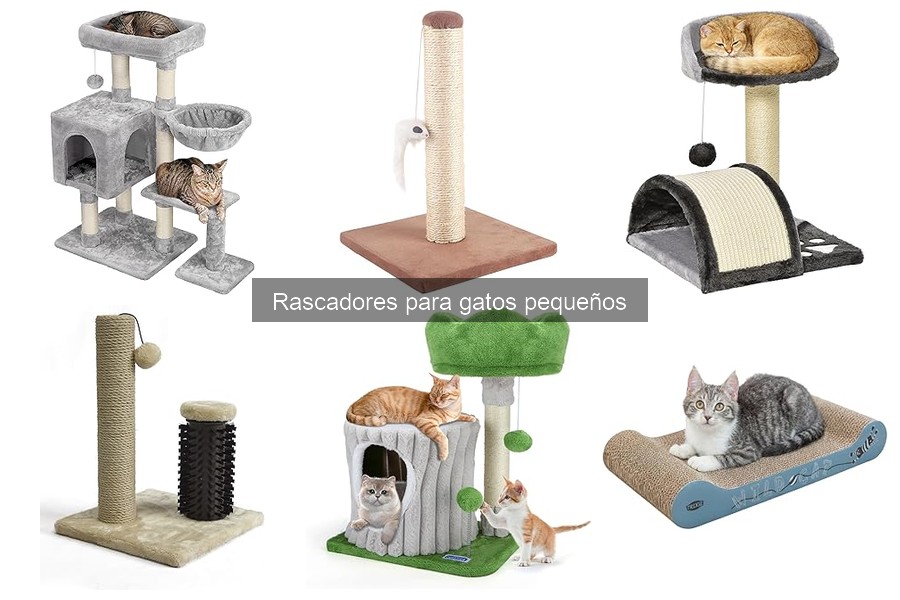 Cómo mantener y limpiar rascadores para gatos pequeños