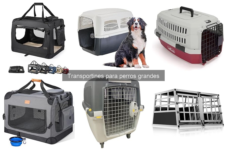 Cómo medir a tu perro para elegir el transportín ideal