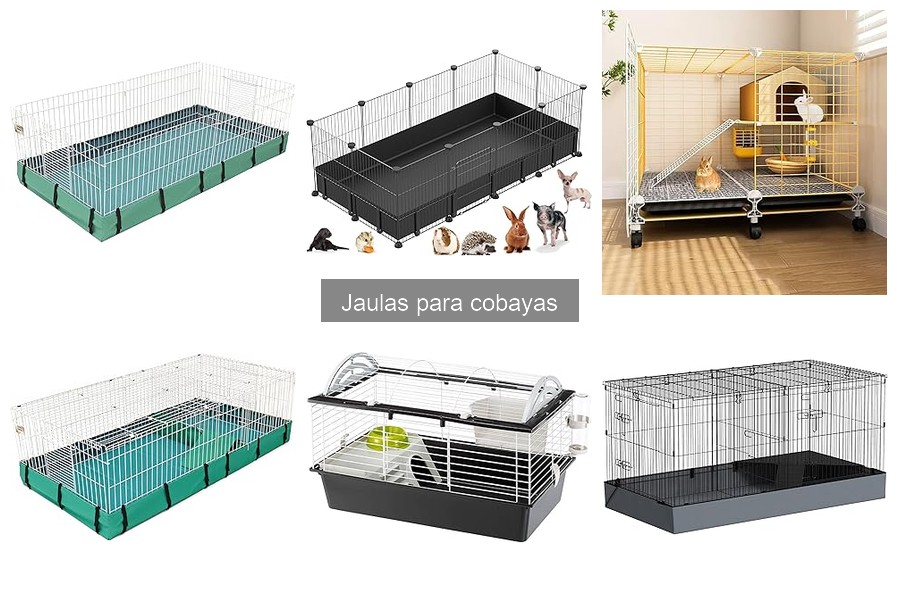 Cómo montar una jaula para cobayas fácilmente